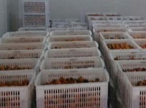 保鲜库和冷冻库的区别。
