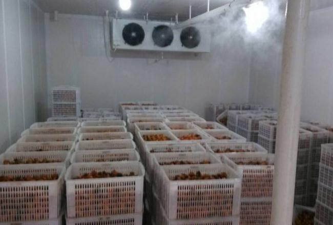 跟着安徽色色色色色视频一起来了解下影响冷库设备制冷效果的几个因素吧！