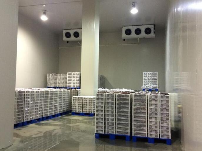 冷库建造类型有几种？色色的软件下载的价格组成部分？
