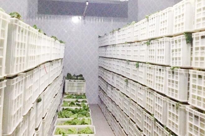 小知识：色色的软件下载安装公司报价为什么区别很大？